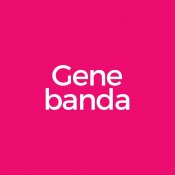 Gene banda (23)
